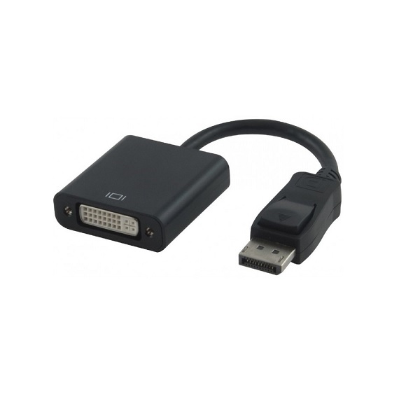 L-Link LL-1224 Adaptador DisplayPort a DVI macho/hembra